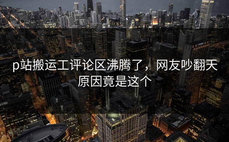 p站搬运工评论区沸腾了，网友吵翻天原因竟是这个
