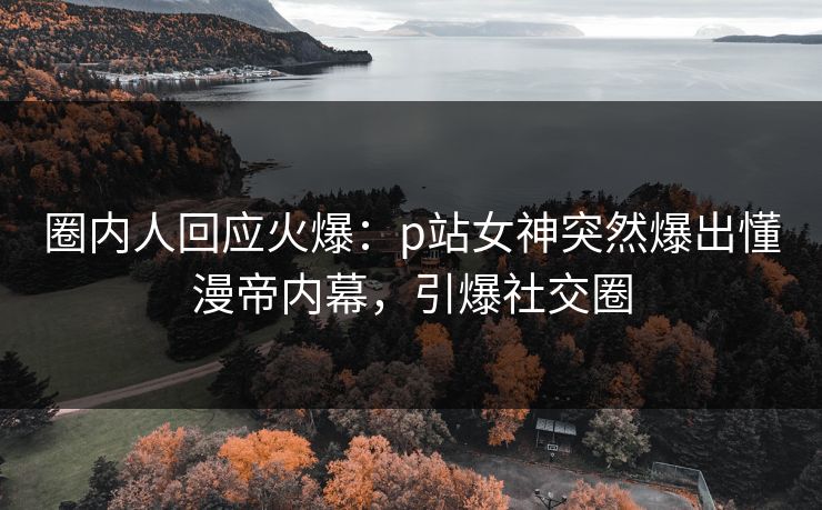 圈内人回应火爆：p站女神突然爆出懂漫帝内幕，引爆社交圈