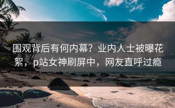 围观背后有何内幕？业内人士被曝花絮，p站女神刷屏中，网友直呼过瘾